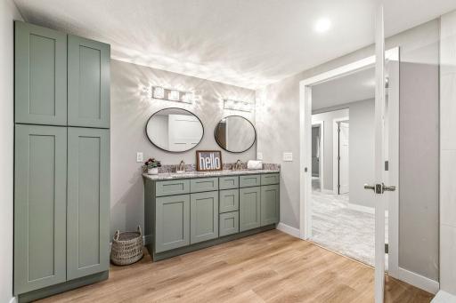 Lower Level Bathroom