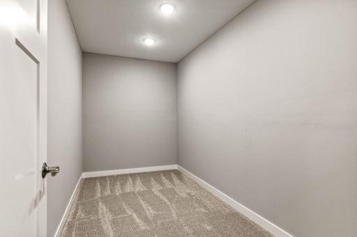 Lower Level Storage Room