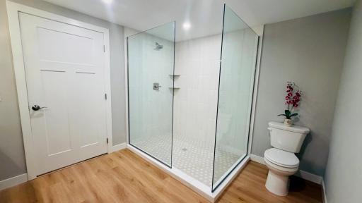 Lower Level Huge Walk-In Shower