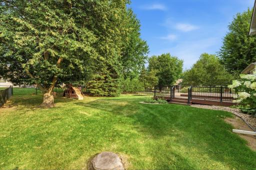 Fenced back yard
