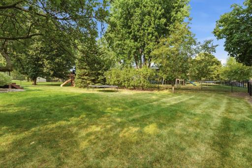 View of the back yard