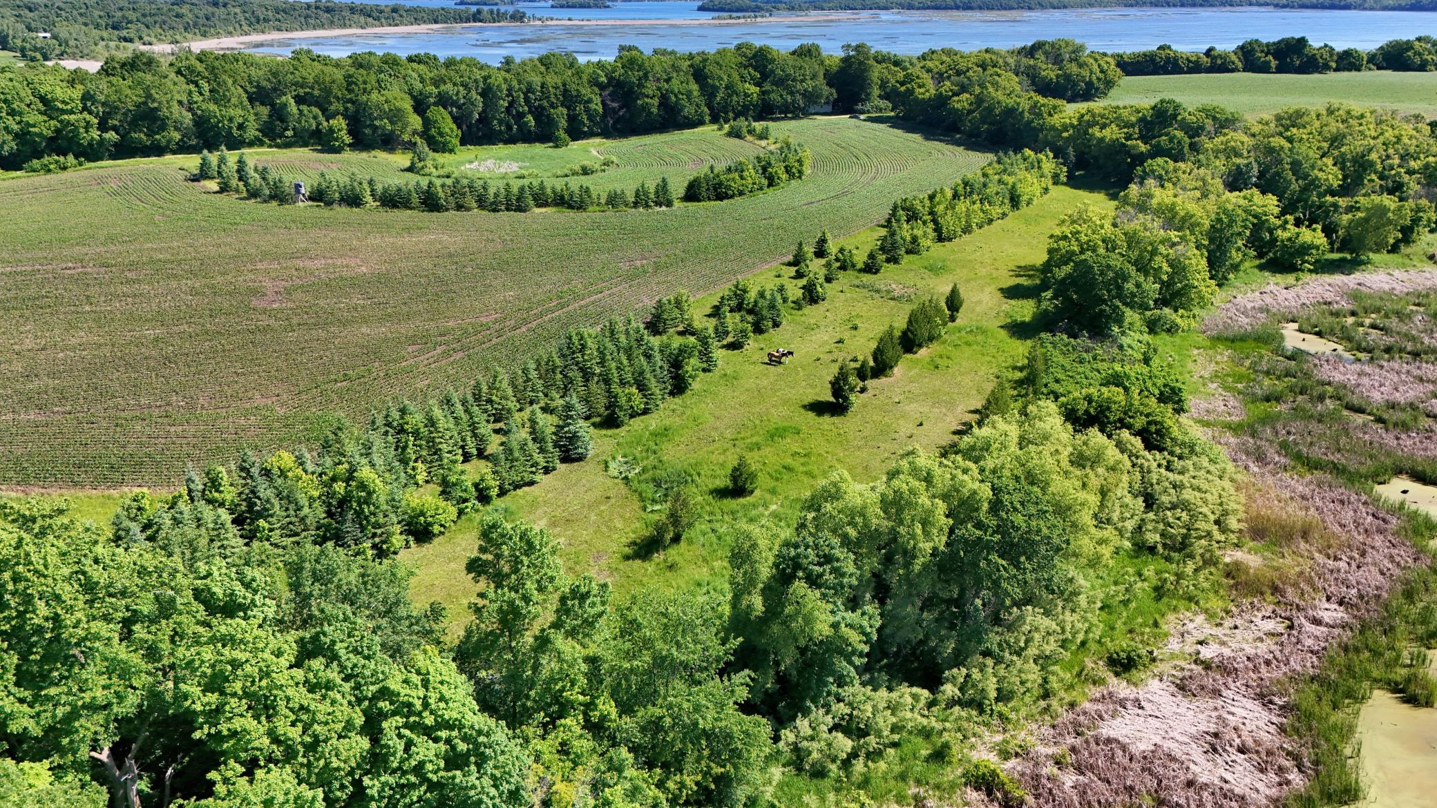 Tillable 13+acres & pasture