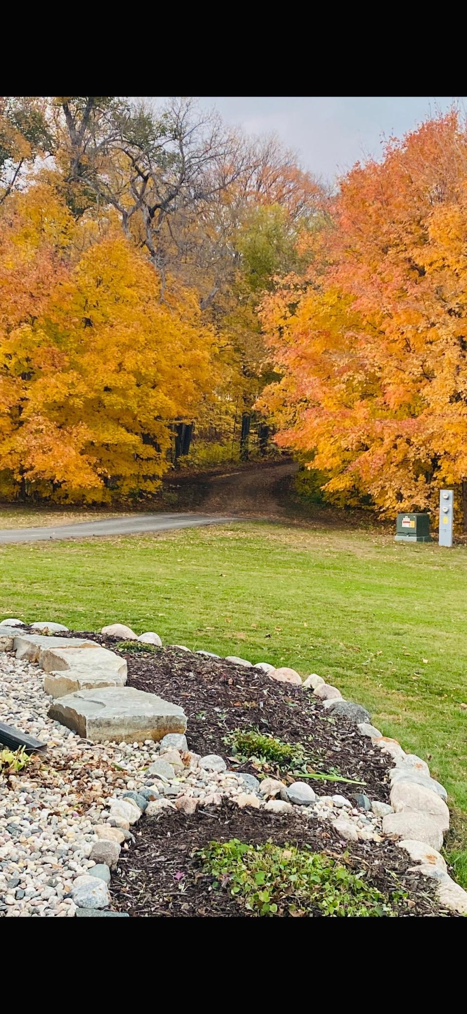 Fall colors are AMAZING too!