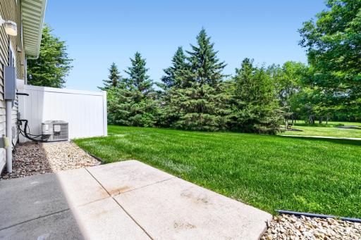 Patio and backyard adjacent to the park preserve. Being so close to the parks and trails is great but this home still feels private in the setting