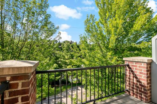 44-web-or-mls-340 Spring St, Saint Paul, MN_0003.jpg