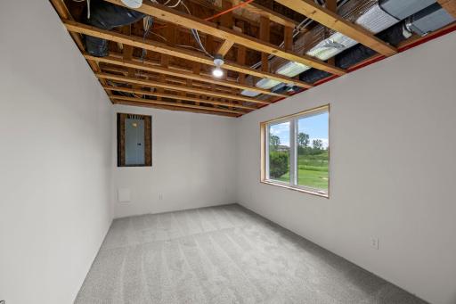 Fifth bedroom on the lower level featuring a walk-in closet.