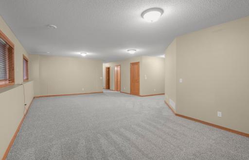 New Carpet in the Lower Level! In-floor heat in basement (natural gas boiler)