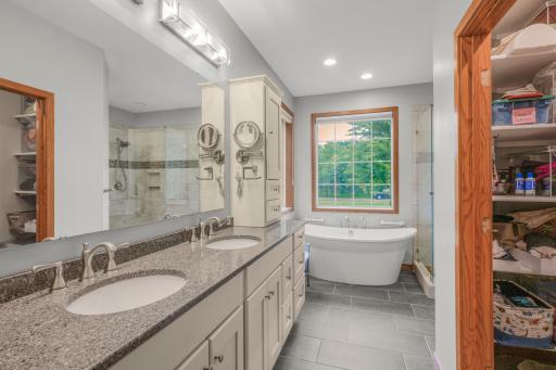 Gorgeous Primary Private Bath with heated floor (electric)