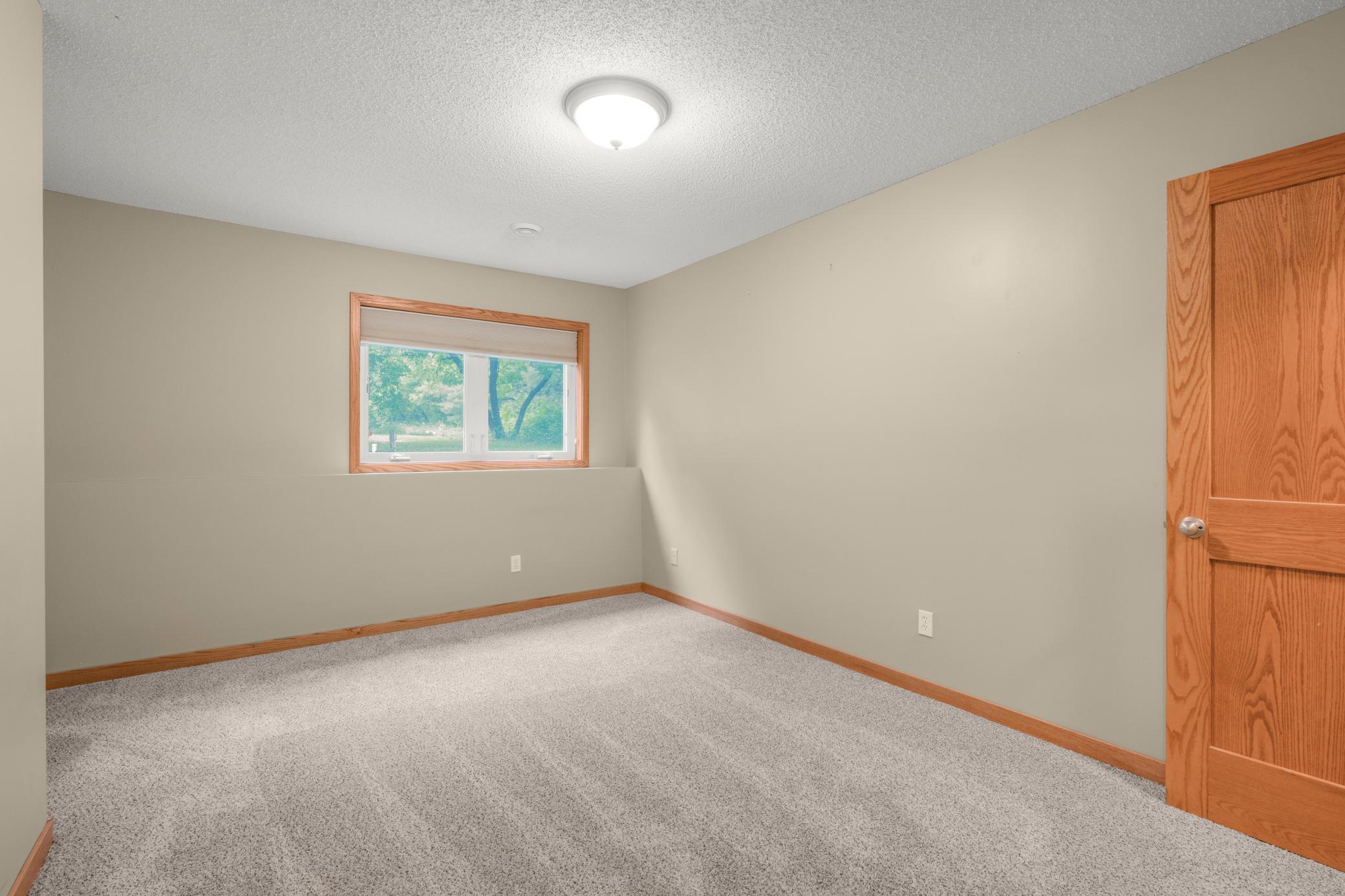Lower Level Bedroom