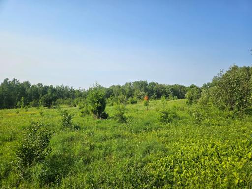 21048 County Road 36, Crosby, MN 56441
