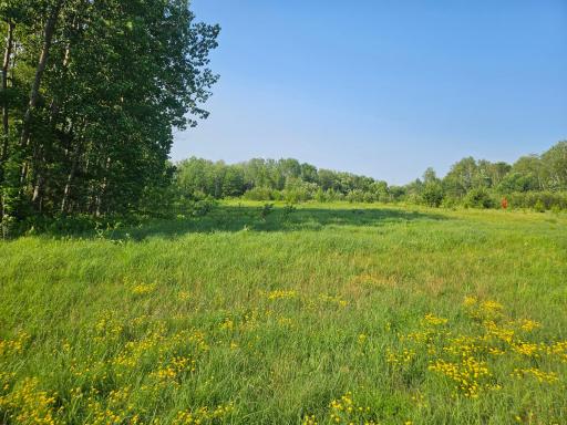 21048 County Road 36, Crosby, MN 56441