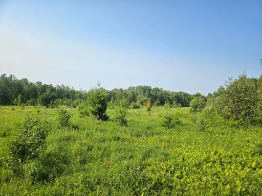 21048 County Road 36, Crosby, MN 56441