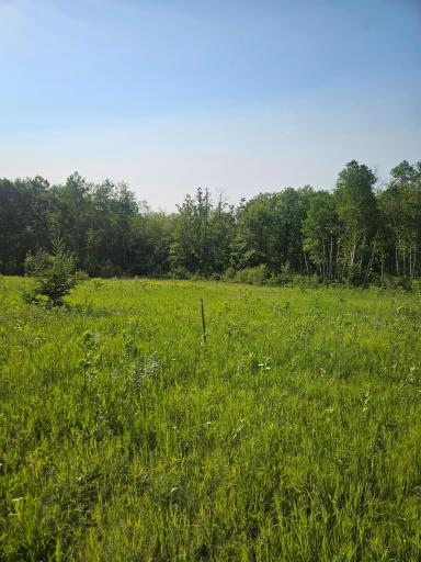 TBD County Road 36, Crosby, MN 56441