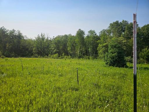TBD County Road 36, Crosby, MN 56441