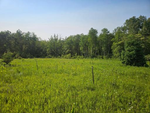 TBD County Road 36, Crosby, MN 56441