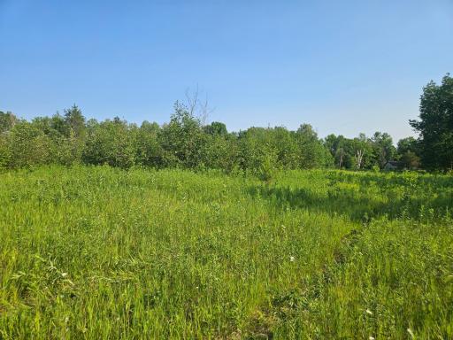 TBD County Road 36, Crosby, MN 56441