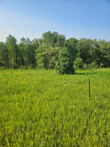 TBD County Road 36, Crosby, MN 56441