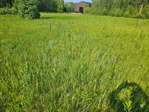 TBD County Road 36, Crosby, MN 56441