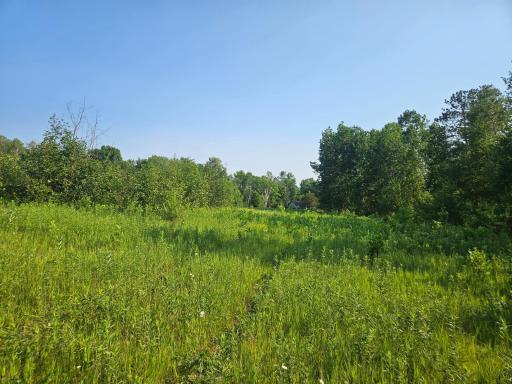 TBD County Road 36, Crosby, MN 56441