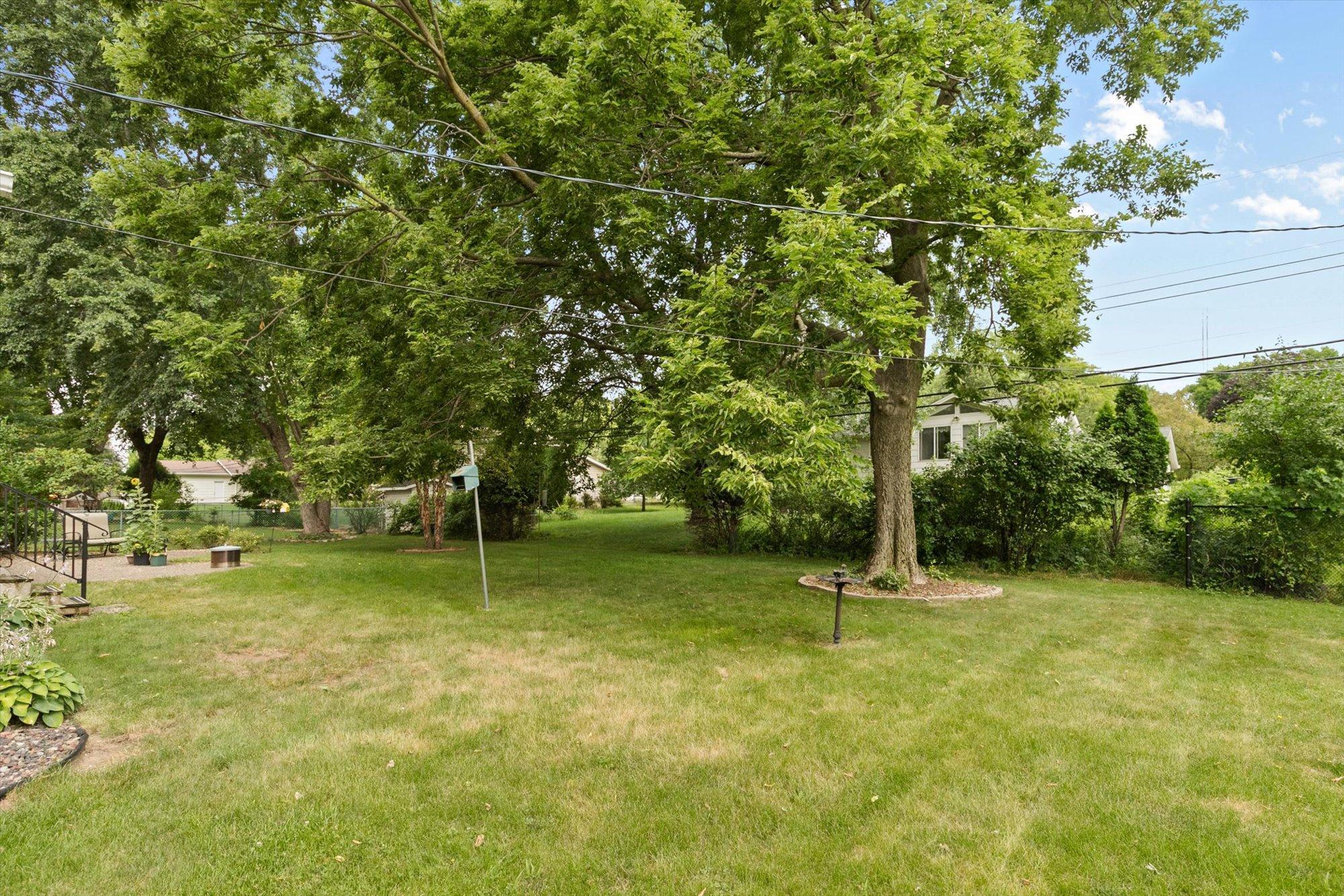 Mature trees in backyard