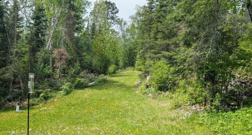 8119 Muskego Point, Cook, MN 55723