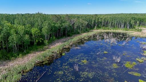 TBD STATE 200, Bagley, MN 56621