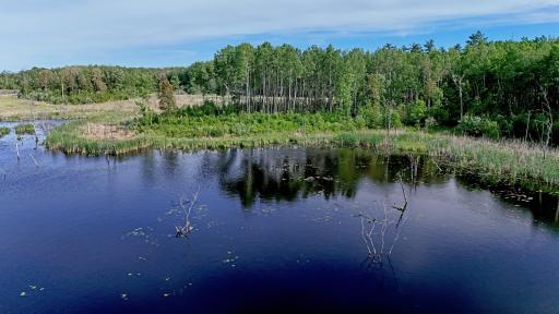 TBD STATE 200, Bagley, MN 56621