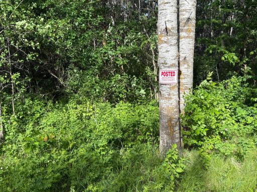 TBD STATE 200, Bagley, MN 56621