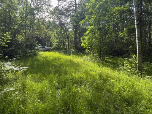 TBD STATE 200, Bagley, MN 56621