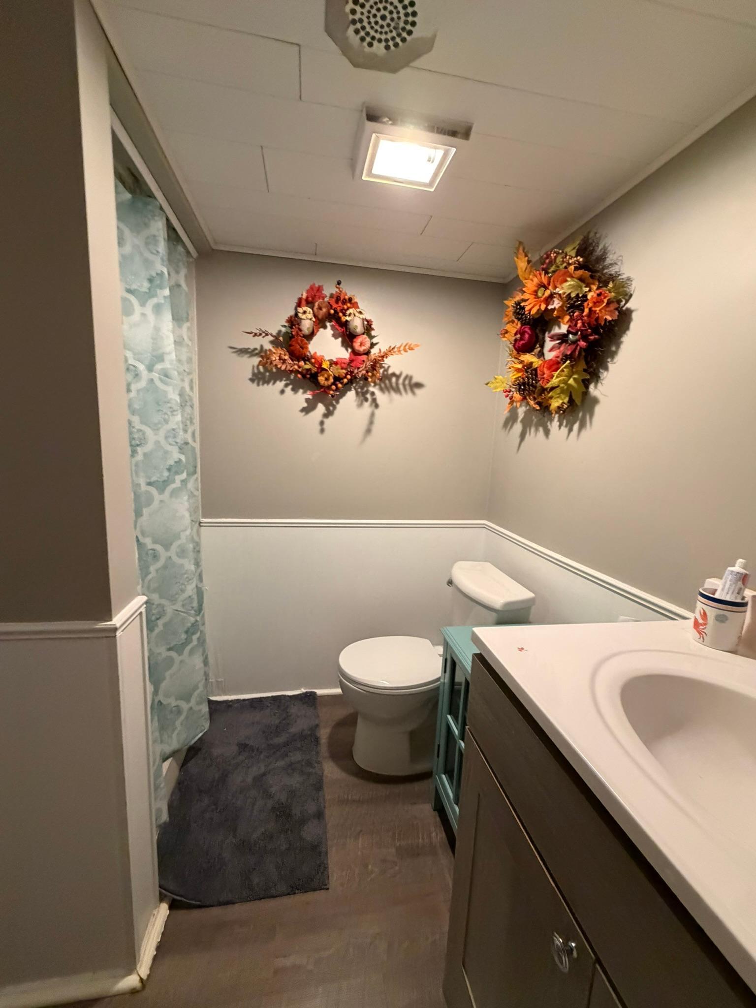 Lower level bathroom