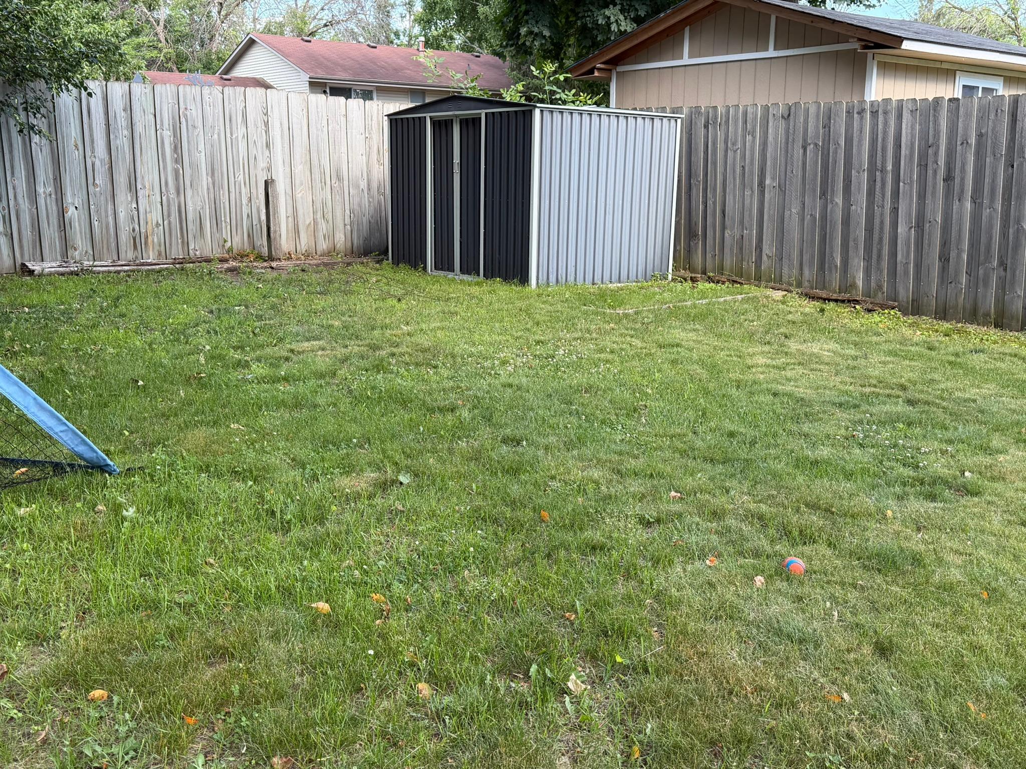 Shed