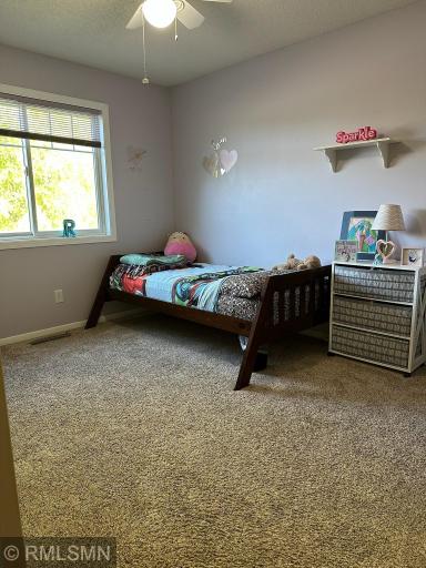 1521 Earle Way, Burnsville, MN 55306