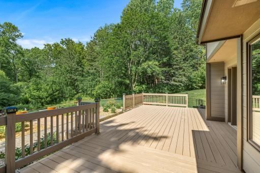 4572 Wild Canyon Drive, Saint Paul, MN 55129
