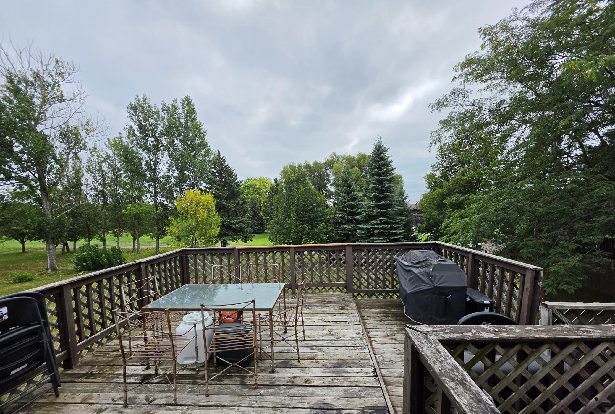 Chip Back Deck.jpg