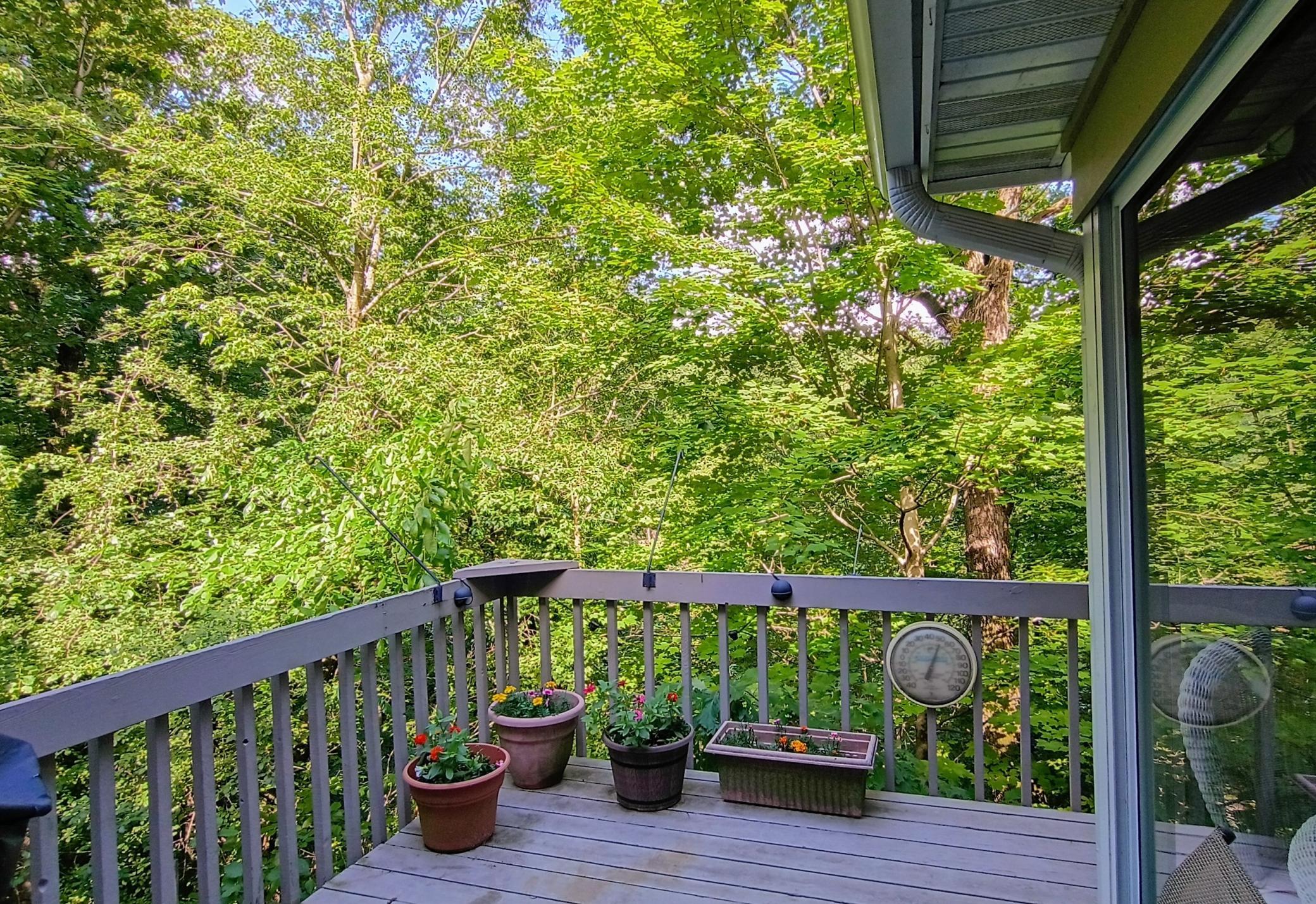 Deck overlooks wooded ravine