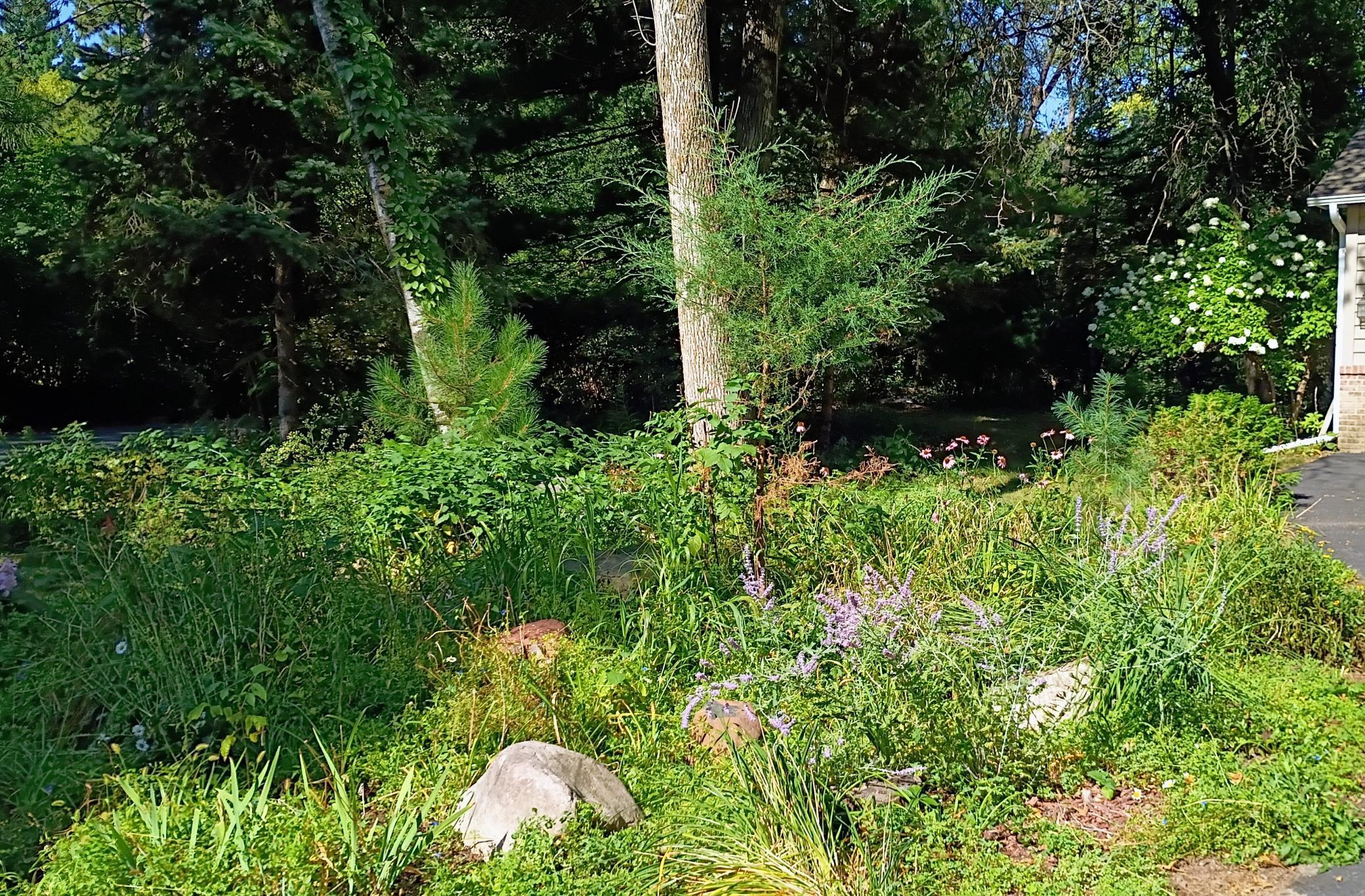 Perennial gardens