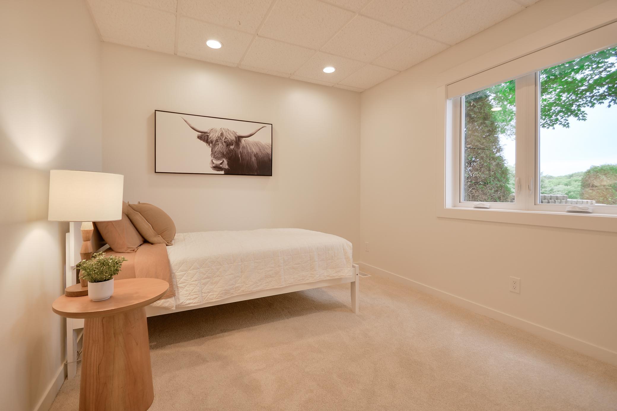 Lower level bedroom