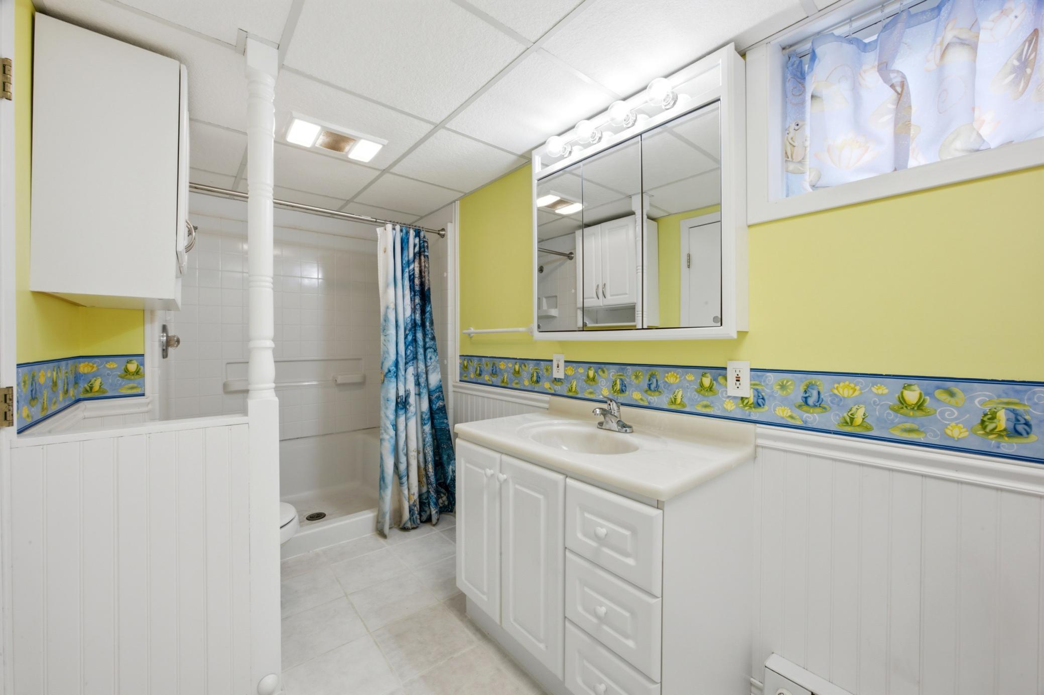Lower Level Bathroom