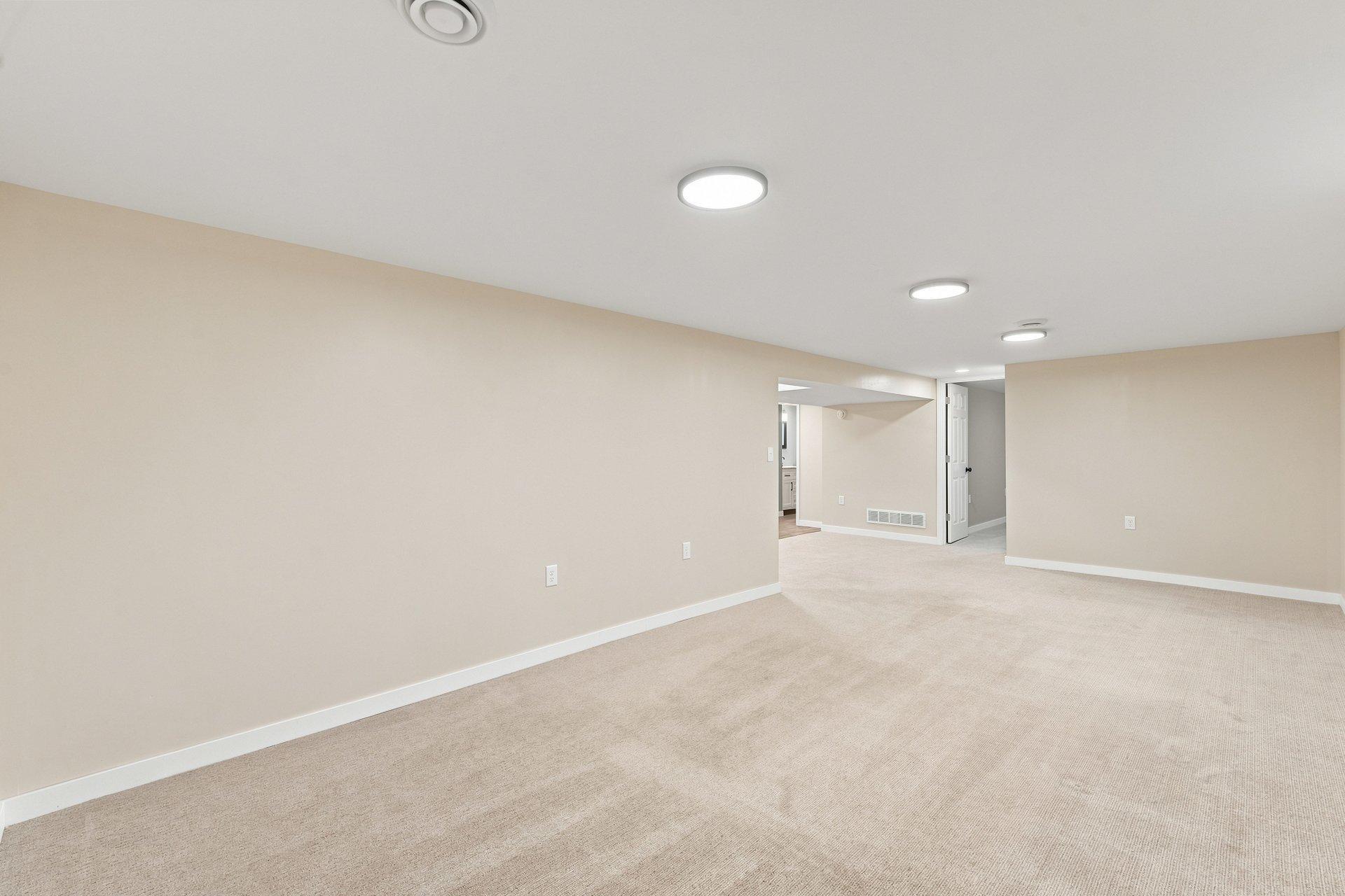 Lower level Family room