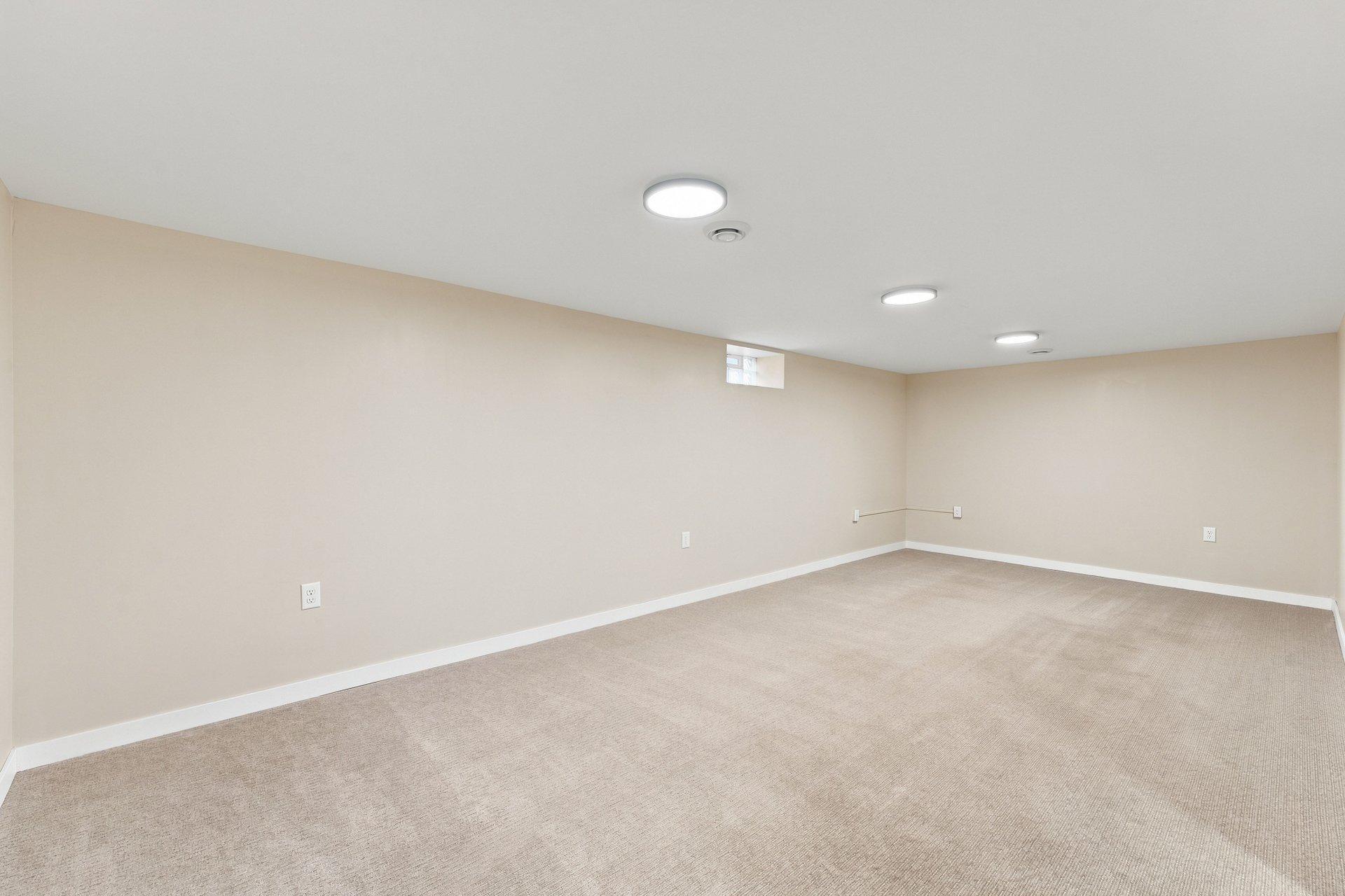 Lower level family room