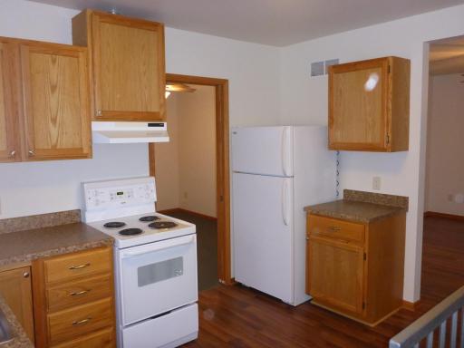 101 Wilson Street, Springfield, MN 56087