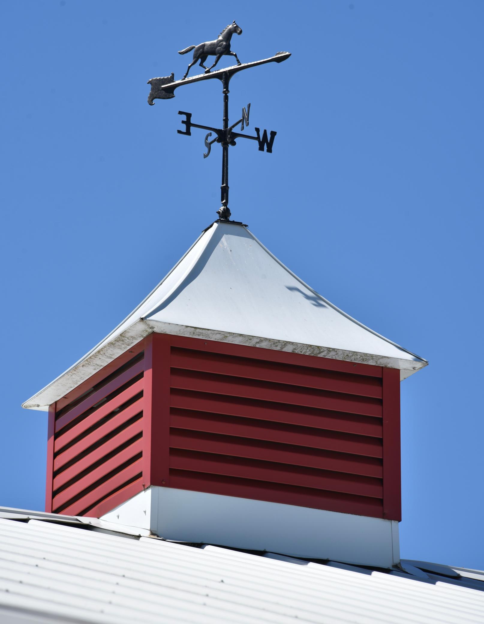 DSC_3992.JPG
