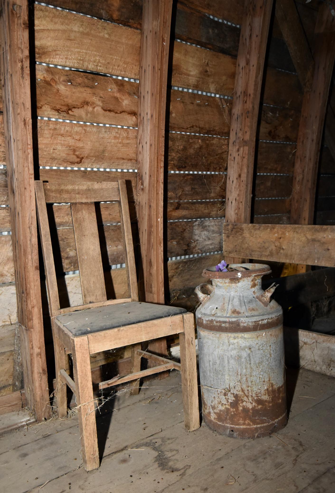 DSC_3965.JPG