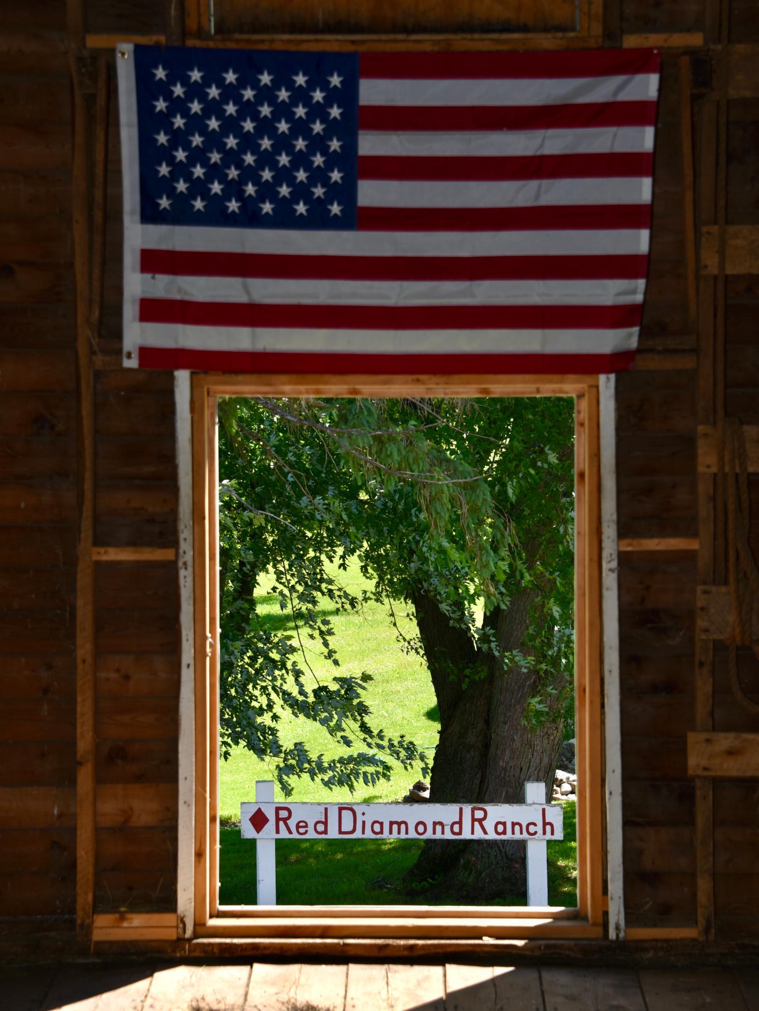 DSC_4000.JPG
