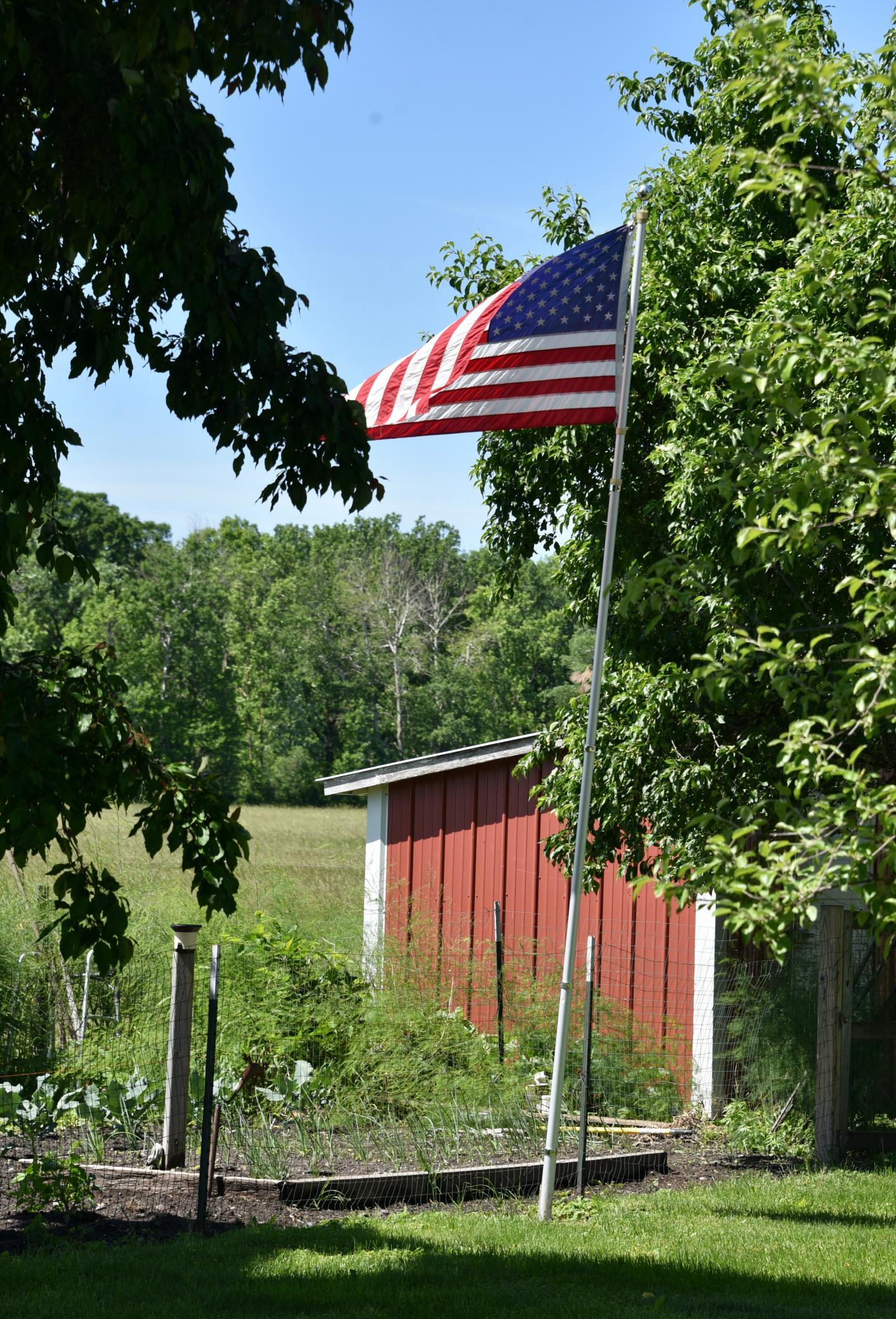 DSC_4046.JPG