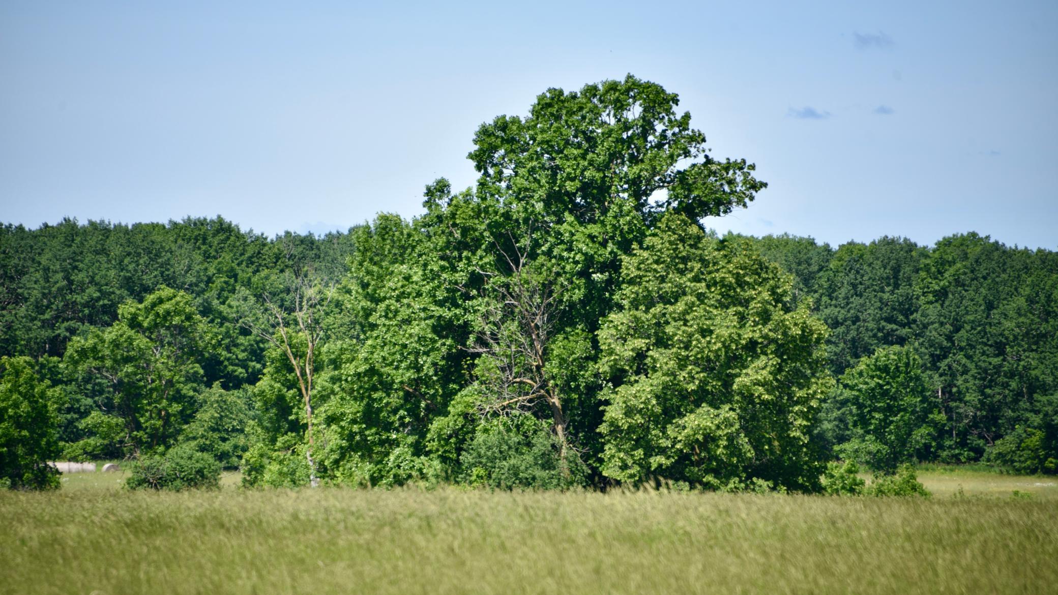 DSC_4030.JPG