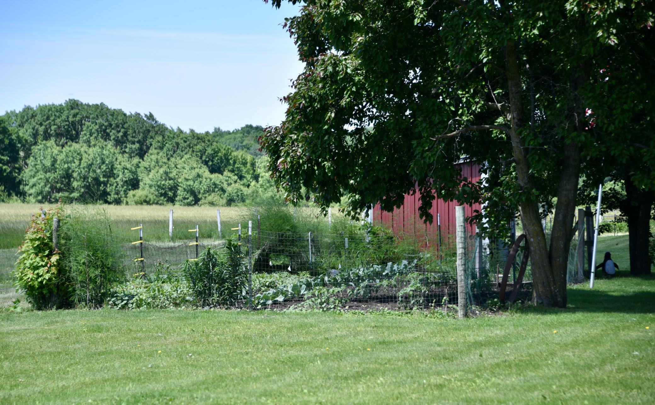 DSC_4043.JPG
