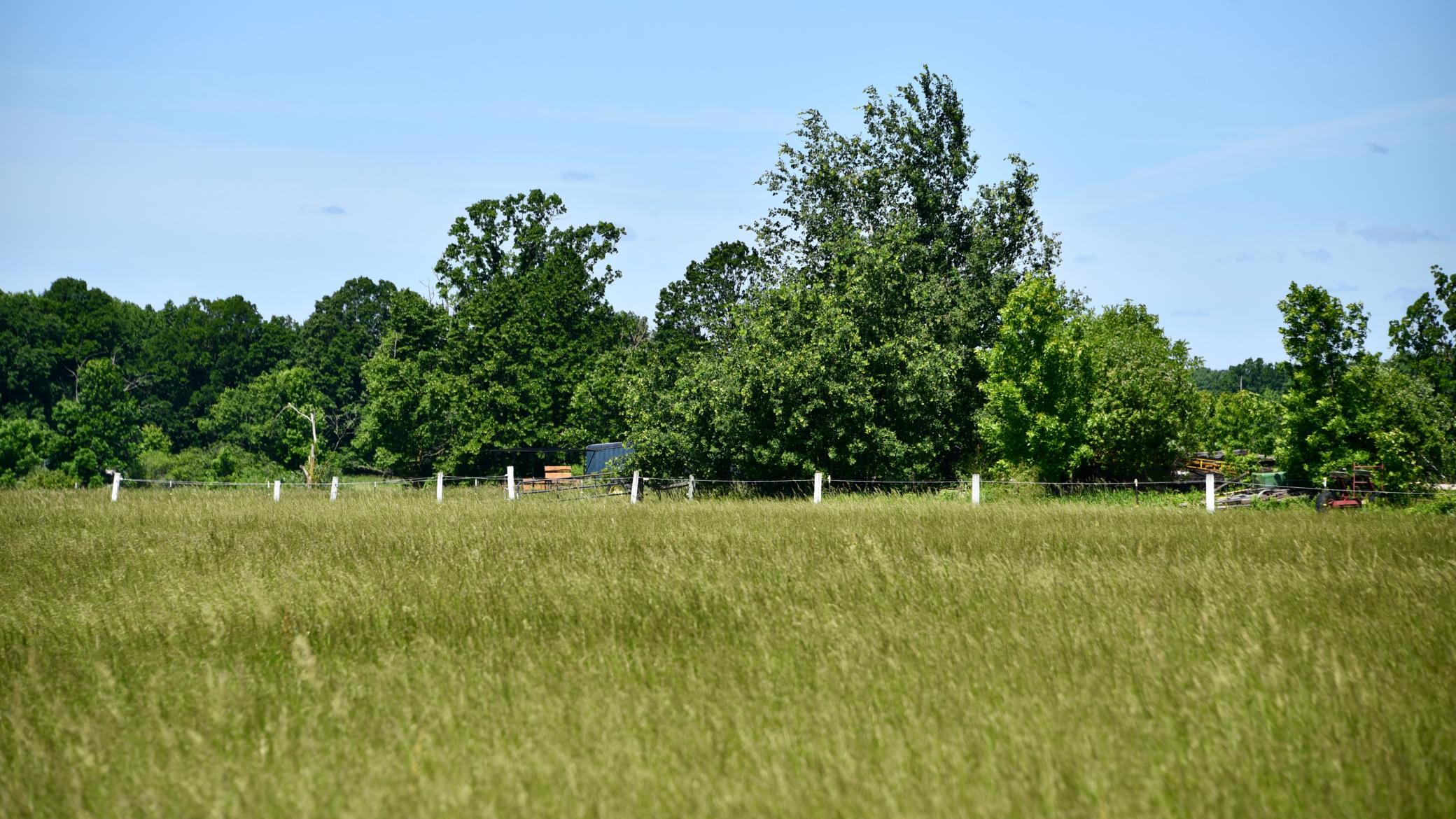 DSC_4031.JPG