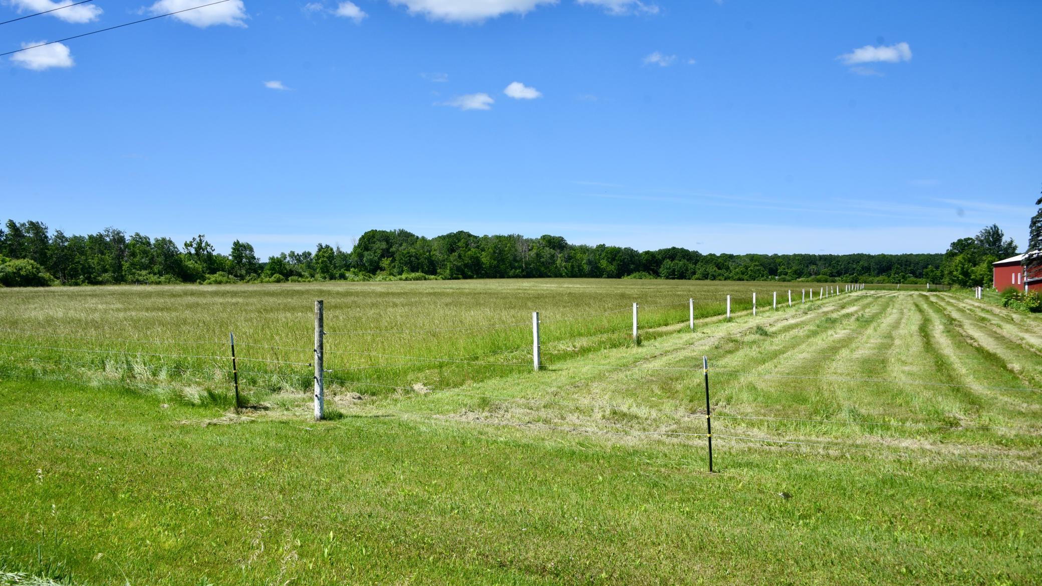 DSC_4019.JPG