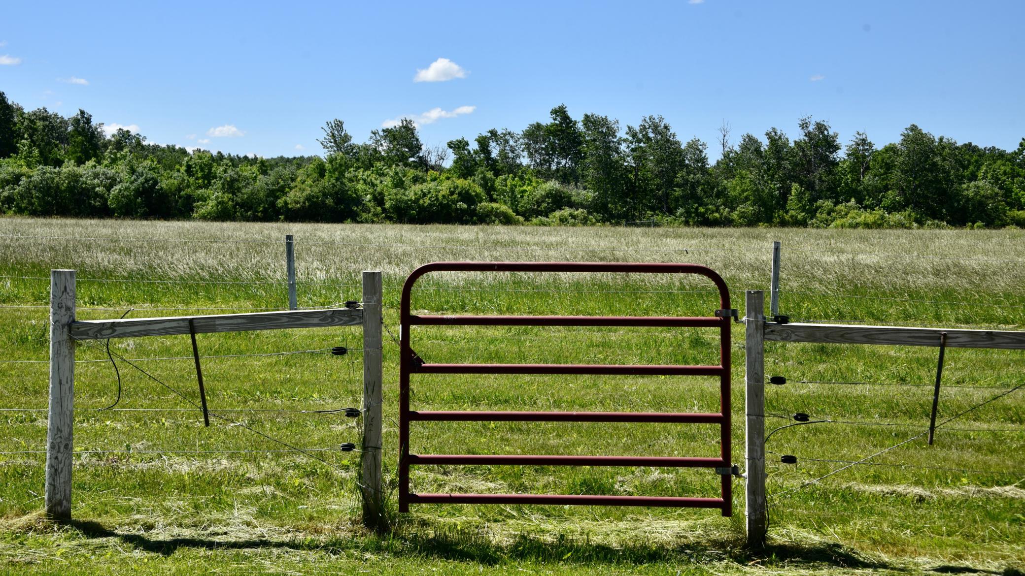 DSC_4003.JPG